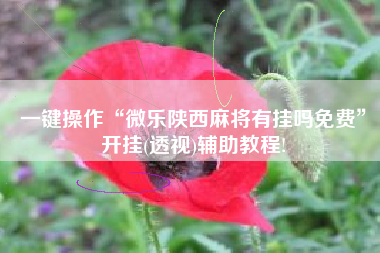 一键操作“微乐陕西麻将有挂吗免费”开挂(透视)辅助教程!