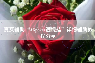 真实辅助“AGpoker透视挂”详细辅助教程分享