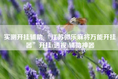 实测开挂辅助:“江苏微乐麻将万能开挂器”开挂(透视)辅助神器