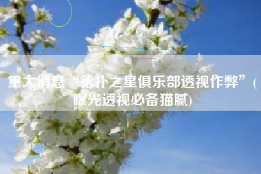 重大消息“德扑之星俱乐部透视作弊”(曝光透视必备猫腻)