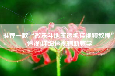 推荐一款“微乐斗地主透视挂视频教程”(透视)详细透视辅助教学