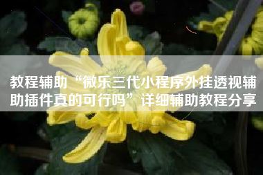 教程辅助“微乐三代小程序外挂透视辅助插件真的可行吗”详细辅助教程分享