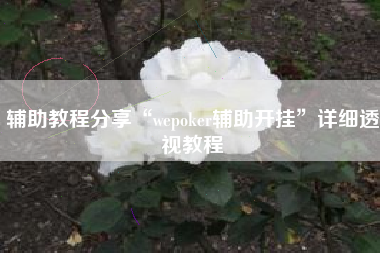 辅助教程分享“wepoker辅助开挂”详细透视教程