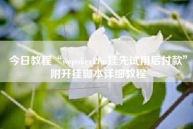 今日教程“wepokerPlus挂先试用后付款”附开挂脚本详细教程