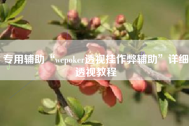 专用辅助“wepoker透视挂作弊辅助”详细透视教程