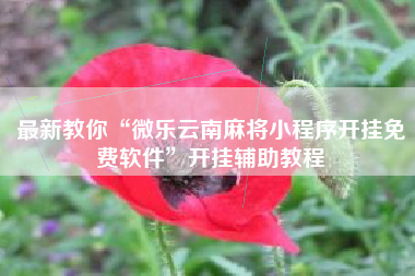 最新教你“微乐云南麻将小程序开挂免费软件”开挂辅助教程