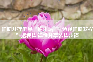 辅助开挂工具“德州wepoker透视辅助教程”透视挂!详细分享装挂步骤