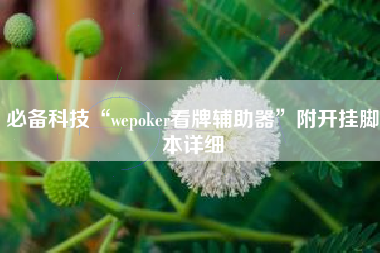 必备科技“wepoker看牌辅助器”附开挂脚本详细