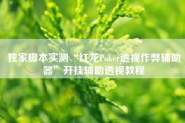独家脚本实测“红龙Poker透视作弊辅助器”开挂辅助透视教程