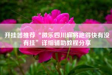 开挂器推荐“微乐四川麻将跑得快有没有挂”详细辅助教程分享