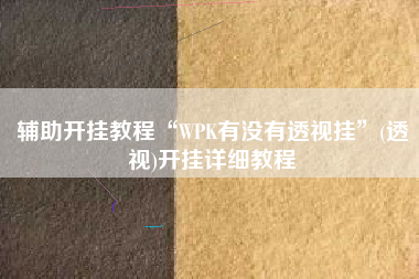 辅助开挂教程“WPK有没有透视挂”(透视)开挂详细教程