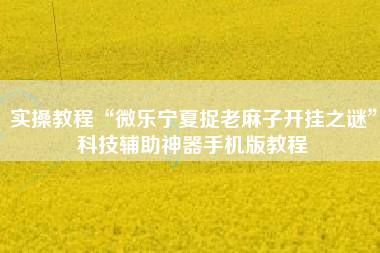 实操教程“微乐宁夏捉老麻子开挂之谜”科技辅助神器手机版教程