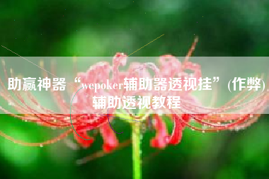 助赢神器“wepoker辅助器透视挂	”(作弊)辅助透视教程