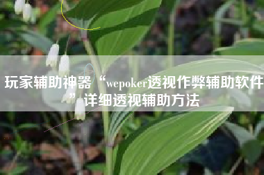 玩家辅助神器“wepoker透视作弊辅助软件”详细透视辅助方法