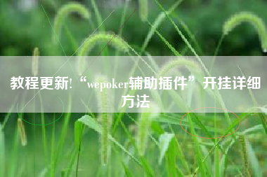 教程更新!“wepoker辅助插件	”开挂详细方法