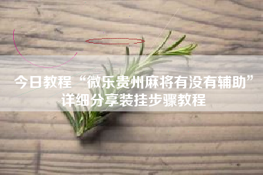 今日教程“微乐贵州麻将有没有辅助”详细分享装挂步骤教程
