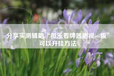 分享实测辅助“微乐看牌器透视ios版”可以开挂方法
