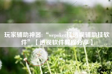 玩家辅助神器:“wepoker挂透视辅助挂软件”【透视软件教程分享】