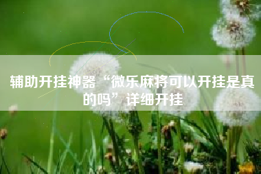 辅助开挂神器“微乐麻将可以开挂是真的吗”详细开挂