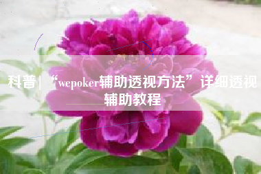 科普|“wepoker辅助透视方法	”详细透视辅助教程