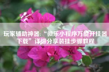 玩家辅助神器:“微乐小程序万能开挂器下载”详细分享装挂步骤教程