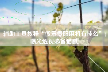 辅助工具教程“微乐贵阳麻将有挂么	”(曝光透视必备猫腻)