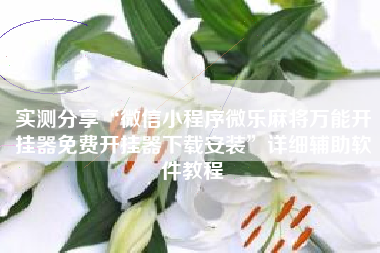 实测分享“微信小程序微乐麻将万能开挂器免费开挂器下载安装”详细辅助软件教程