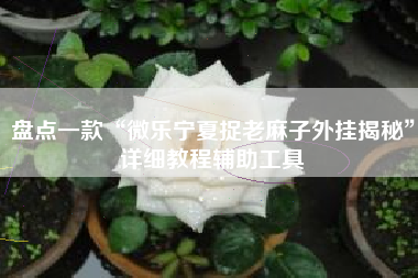 盘点一款“微乐宁夏捉老麻子外挂揭秘”详细教程辅助工具