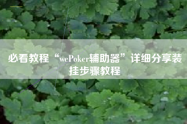 必看教程“wePoker辅助器	”详细分享装挂步骤教程