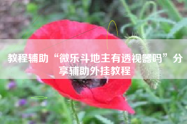 教程辅助“微乐斗地主有透视器吗”分享辅助外挂教程