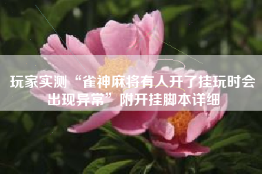 玩家实测“雀神麻将有人开了挂玩时会出现异常”附开挂脚本详细