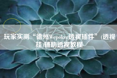 玩家实测“德州Wepoker透视插件”(透视挂)辅助透视教程