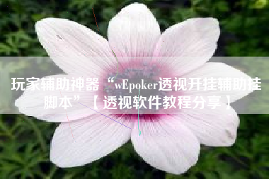 玩家辅助神器“wEpoker透视开挂辅助挂脚本	”【透视软件教程分享】