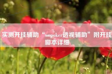 实测开挂辅助“wepoker透视辅助”附开挂脚本详细