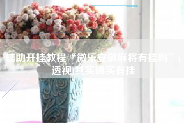 辅助开挂教程“微乐安徽麻将有挂吗”(透视)其实确实有挂