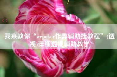 我来教你“wepoker作弊辅助挂教程”(透视)详细透视辅助教学