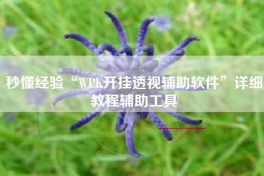秒懂经验“WPK开挂透视辅助软件	”详细教程辅助工具