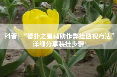 科普|“德扑之星辅助作弊挂透视方法”详细分享装挂步骤!