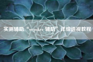 实测辅助“wepoker 辅助”详细透视教程