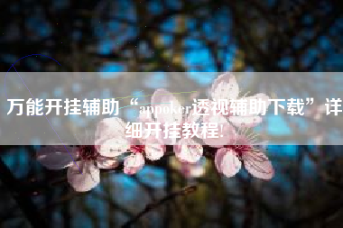 万能开挂辅助“appoker透视辅助下载	”详细开挂教程!