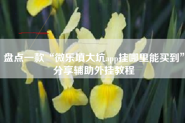 盘点一款“微乐填大坑app挂哪里能买到	”分享辅助外挂教程