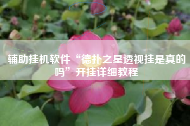 辅助挂机软件“德扑之星透视挂是真的吗”开挂详细教程