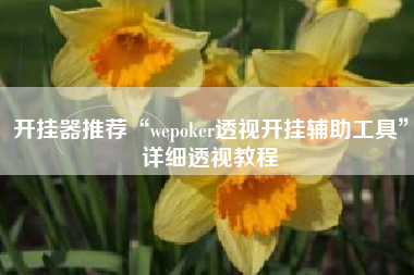 开挂器推荐“wepoker透视开挂辅助工具	”详细透视教程