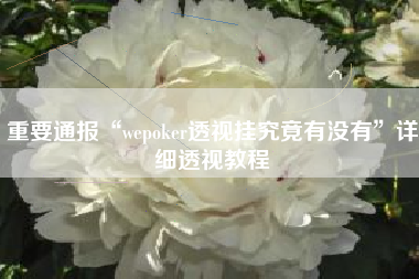 重要通报“wepoker透视挂究竟有没有”详细透视教程