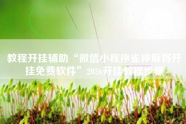 教程开挂辅助“微信小程序雀神麻将开挂免费软件”2026开挂教程步骤