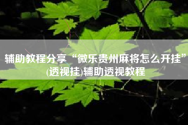 辅助教程分享“微乐贵州麻将怎么开挂”(透视挂)辅助透视教程
