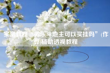 实测教程“微乐斗地主可以买挂吗”(作弊)辅助透视教程