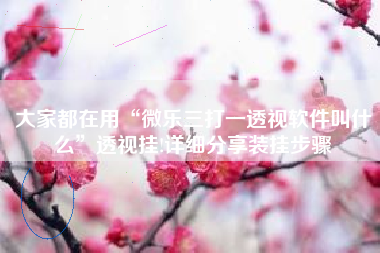 大家都在用“微乐三打一透视软件叫什么”透视挂!详细分享装挂步骤