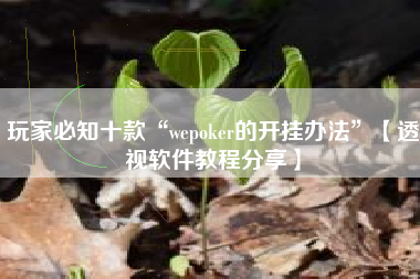 玩家必知十款“wepoker的开挂办法”【透视软件教程分享】