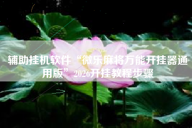 辅助挂机软件“微乐麻将万能开挂器通用版	”2026开挂教程步骤